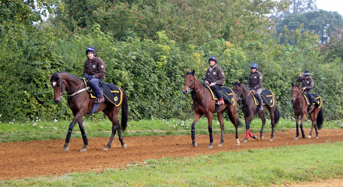 Racehorse training facilities Newmarket racehorse trainer UK