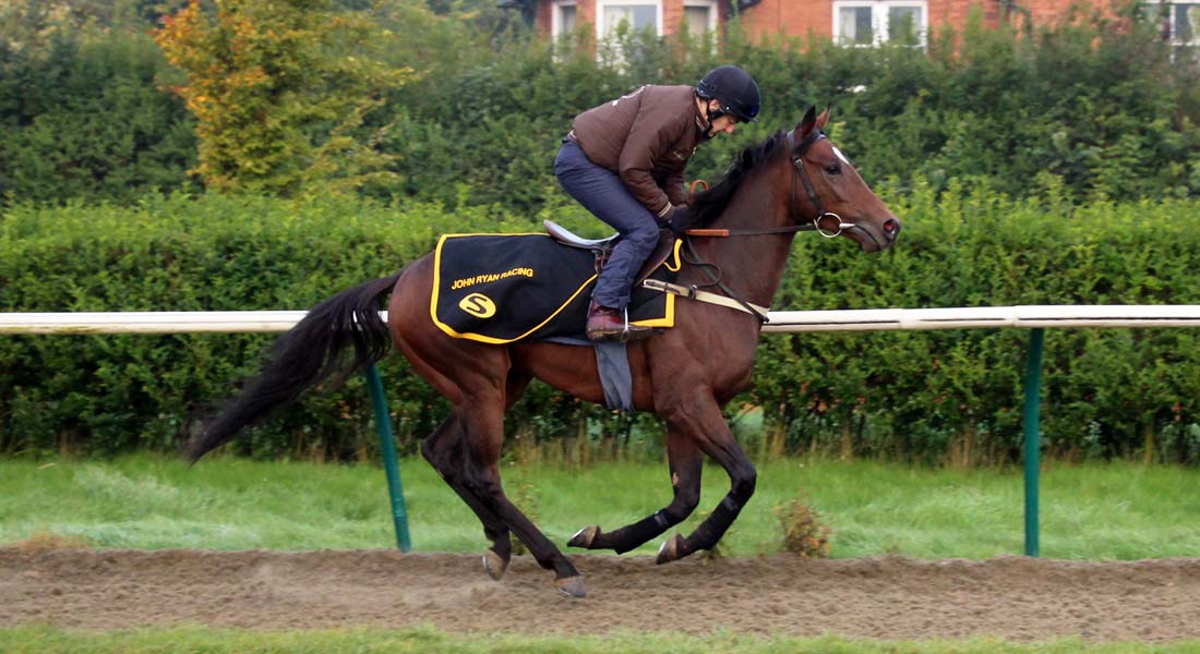 Racehorse training facilities Newmarket racehorse trainer UK