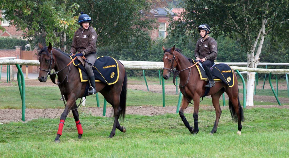 Racehorse training facilities Newmarket racehorse trainer UK