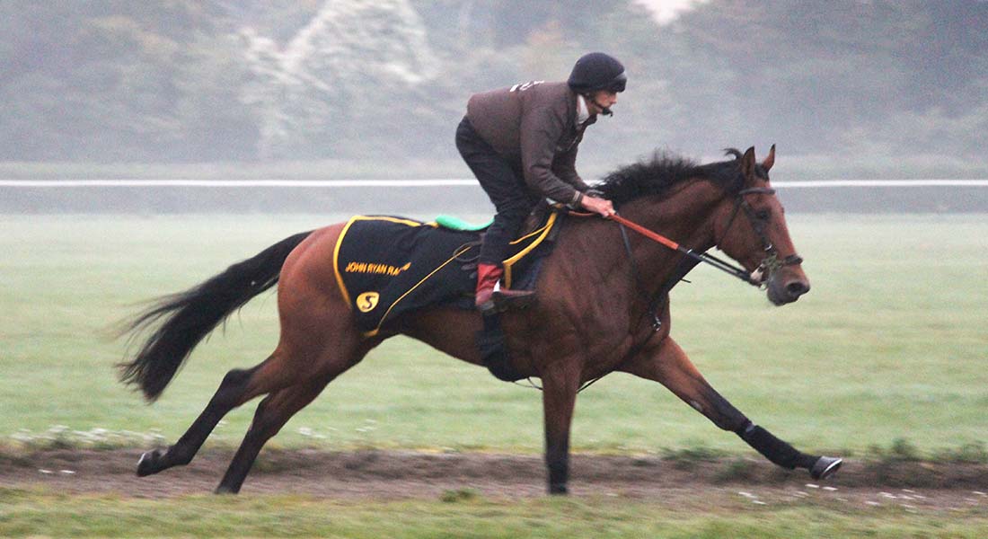 John Ryan Racing racehorse training