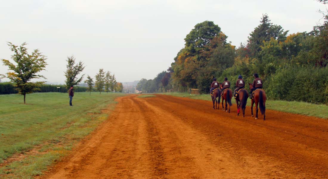 John Ryan Racing racehorse trainer