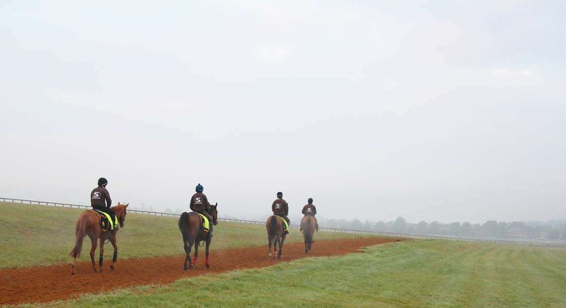 John Ryan Racing racehorse training