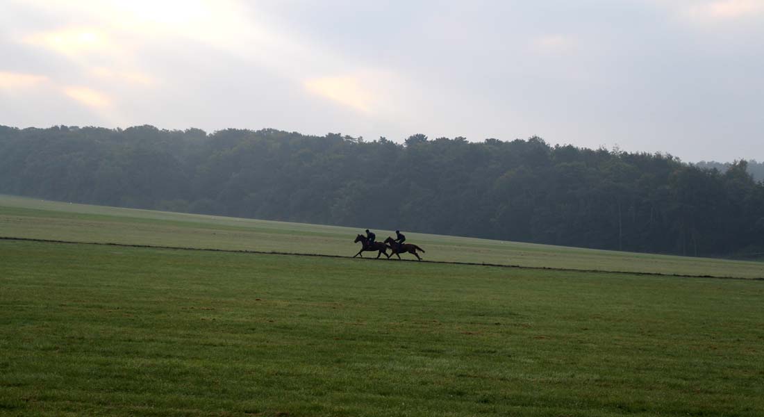 John Ryan Racing racehorse trainer