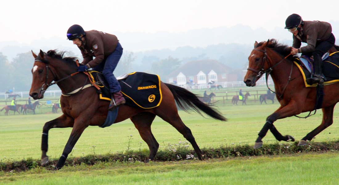 John Ryan Racing racehorse training