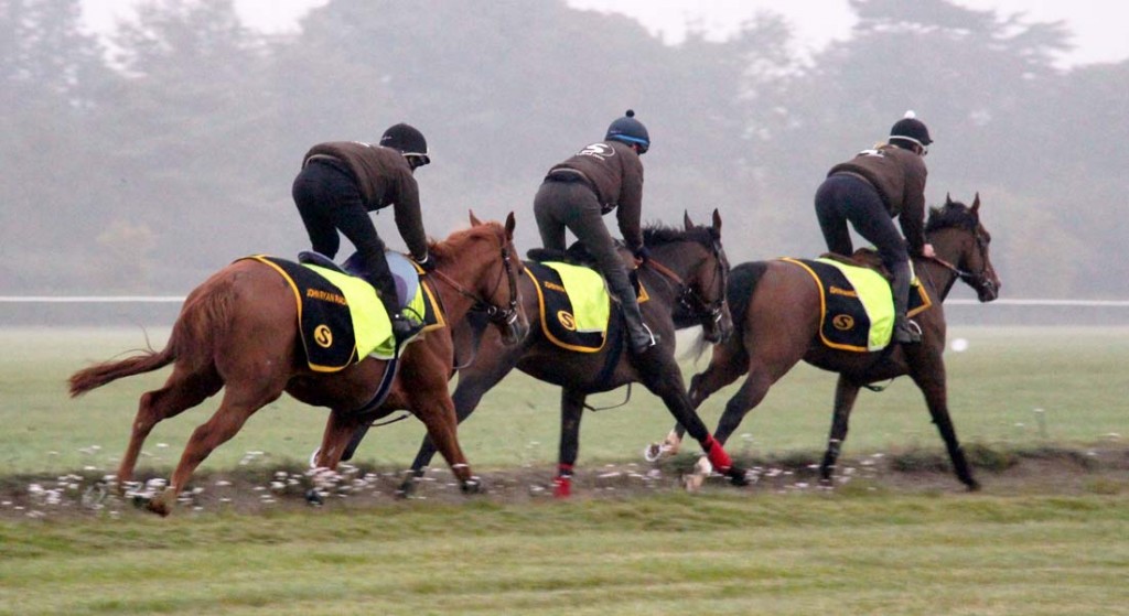 Racehorse training facilities Newmarket racehorse trainer UK