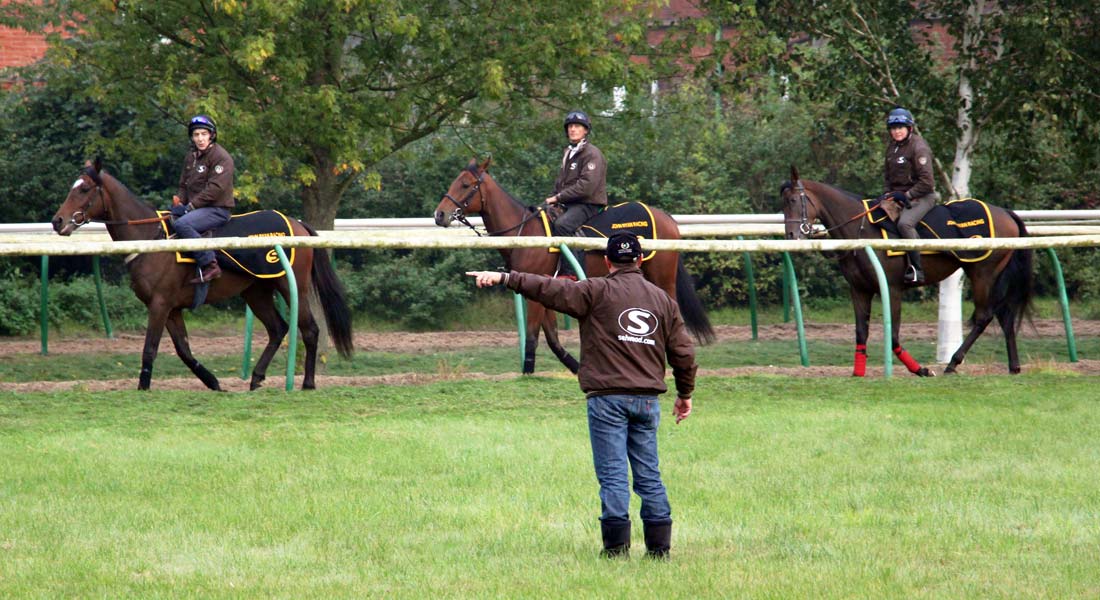 John Ryan Racing racehorse trainer